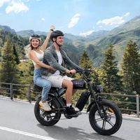 Bicicletta elettrica ENGWE M1 - Potenza 250W | Batteria 29Ah | Velocità 15,5 mph | Autonomia 106mi