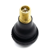 Conversione valvola aria Tubeless