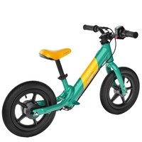 Fiido K1 Electric Balance Bike - Potenza 80W | Batteria 5.8Ah | Velocità 7.5mph | Autonomia 12mi