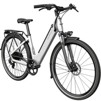 Bicicletta elettrica Fiido C11 - Potenza 500W | Batteria 10,4Ah | Velocità 20mph | Autonomia 56mi