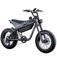 Moto elettrica Himiway C5 Ultra - Potenza 250W | Batteria 20Ah | Velocità 15,5 mph | Autonomia 80mi