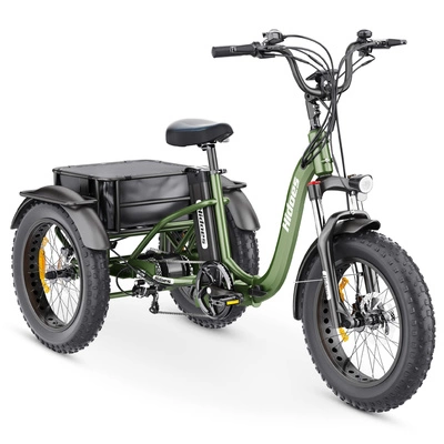 Triciclo elettrico Hidoes ET1 - Potenza 750W | Batteria 20Ah | Velocità 25mph | Autonomia 59mi