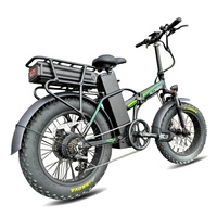 Allegro City Fold Pro 162mi Freno idraulico a lunga escursione Ebike pieghevole a lunga escursione