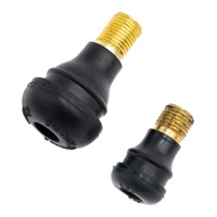 Conversione valvola aria Tubeless