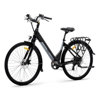 Argento Omega Electric Bike - Potenza 250W | Batteria 10.4Ah | Velocità 15.5mph | Intervallo 44mi