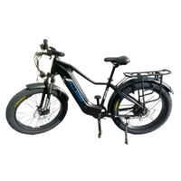 Allegro Huricane Ebike 750W 48V 20Ah Freno idraulico Bici elettrica a lunga autonomia