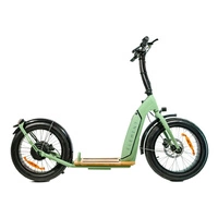 Element Bondi Electric Scooter elettrico | Prestazioni urbane | 500W (800W Peak) di potenza | 22mph di velocità | 14Ah di batteria | 30mi di autonomia | 20-Inch di design | Trasporto urbano premium