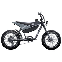 Moto elettrica Himiway C5 Ultra - Potenza 250W | Batteria 20Ah | Velocità 15,5 mph | Autonomia 80mi